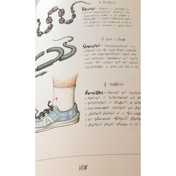 Luigi Serafini Codex Seraphinianus 13" x 9" No. 86 - Picture 1 of 8